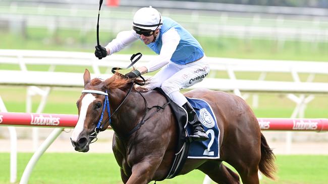 Mishani horses made up the bulk of early two-year-old runners in Queensland last year. Picture: Grant Peters / Trackside Photography