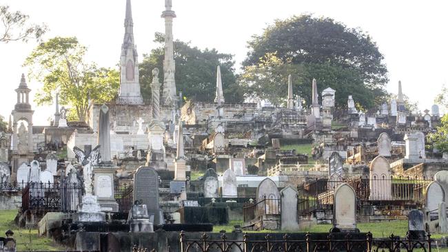 Toowong cemetery: All around is stone, marble, grass and huge trees, 44 hectares of 117,000 souls, one big, connected organism – above and below ground. 