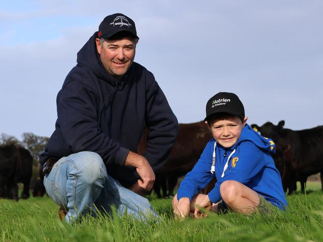 The grass feeding Jarrod and Hamish Carroll's Angus herd has sprung to life after recent rain. Picture: Charlie Peel / The Australian