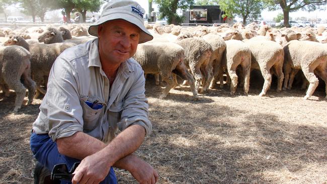 Buyer Stan Rice, from Coleambally, with the opening pen of young Merino ewes he purchased for $252 at Deniliquin store sheep sale last week.