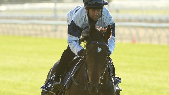 Wakeful Stakes contender El Patroness worked well with jockey Brett Prebble in the saddle at Flemington on Tuesday. Picture: Getty Images