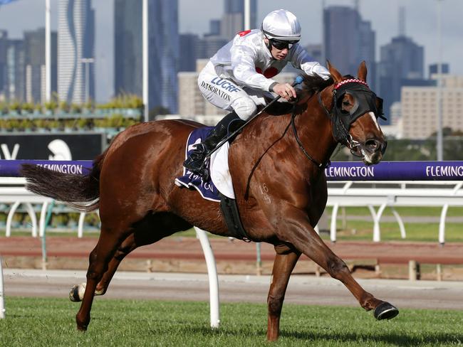 Jockey Damien Thornton rides Ridgewood Drive to victory at Flemington. Picture: AAP Image/George Salpigtidis