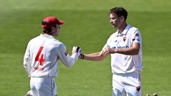 HOBART, AUSTRALIA – MARCH 13: Jordan Buckingham of the Redbacks celebrates the wicket of Kieran Elliott of the Tigers during the Sheffield Shield match between Tasmania and South Australia at Blundstone Arena, on March 13, 2024, in Hobart, Australia. (Photo by Steve Bell/Getty Images)