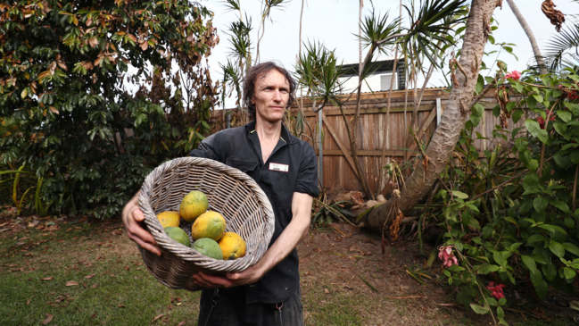 Poisoned fruit trees