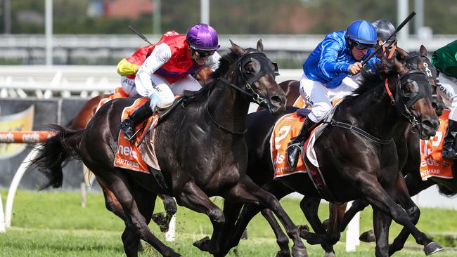 Artorius wins his first Group 1, the Blue Diamond Stakes at Caulfield in 2020. Picture: George Salpigtidis–Racing Photos via Getty Images