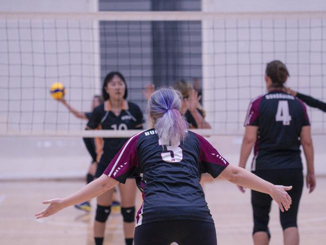 Action as Hard CorÃ“t V Haikyu in the Pan Pacific Masters Games Volleyball tournament. Picture: Glenn Campbell