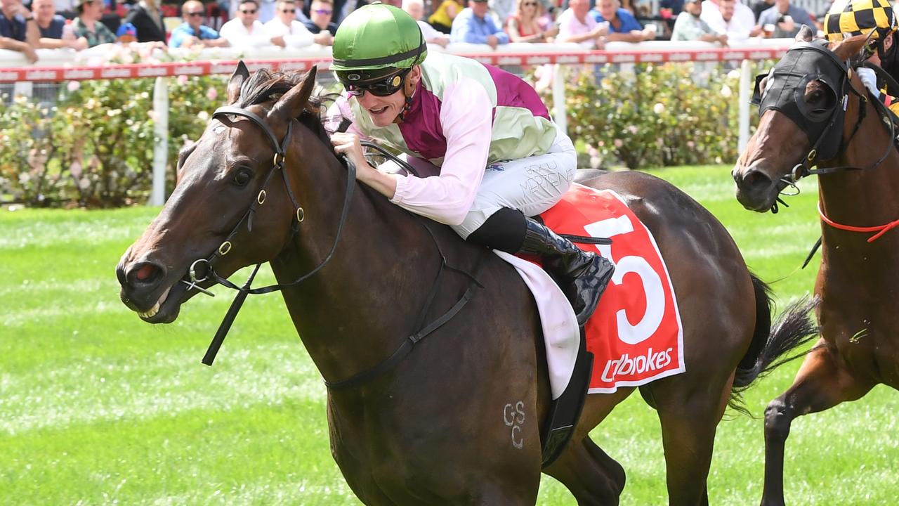 Bedggood plots path to Glory with talented speedster