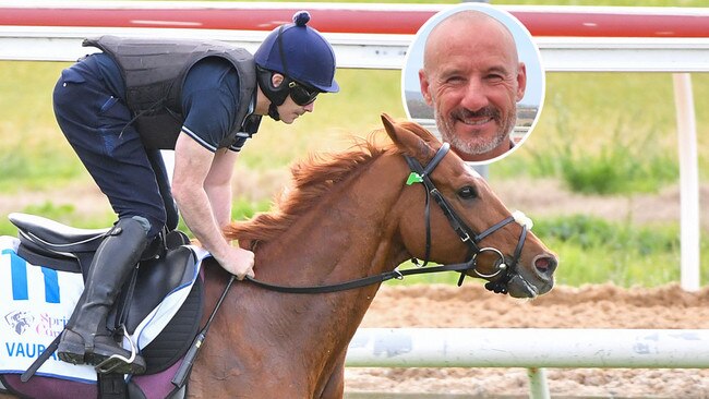 Multiple Melbourne Cup-winning jockey Glen Boss (inset) has made Vauban, pictured at trackwork at Werribee, his top pick for this year's great race.