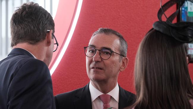 Former premier Steven Marshall attending the Penfolds marquee at the Melbourne Cup in Flemington on Tuesday. Photo. Luis Enrique Ascui