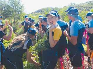 TASTY TUCKER: Piper Rose, centre, enjoyed a freshly picked carrot during St Ursulas excursion to High Valley Dawn permaculture. Picture: contributed