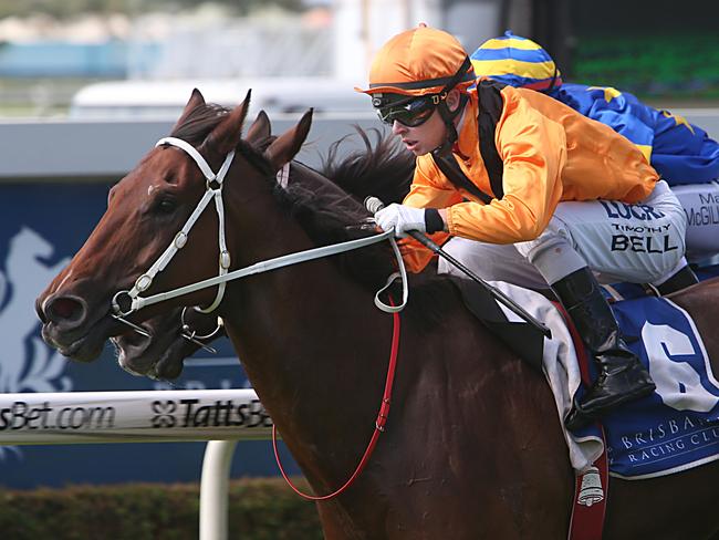 Doomben Races .Race 4 winner Craftiness .Jockey Timothy Bell . Pic Annette Dew