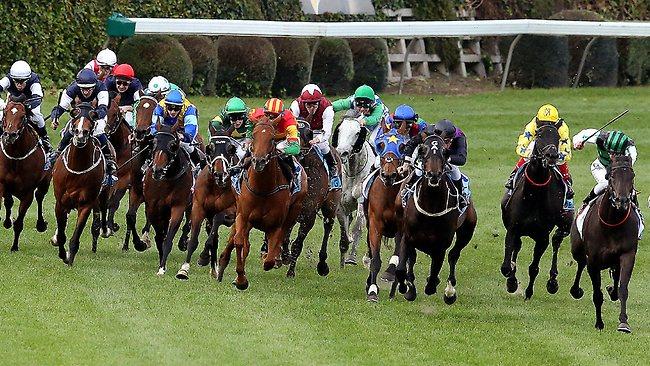 Shamus Award rails like a greyhound as apprentice Chad Schofield goes from home down the 173m stretch. Picture: Wayne Ludbey