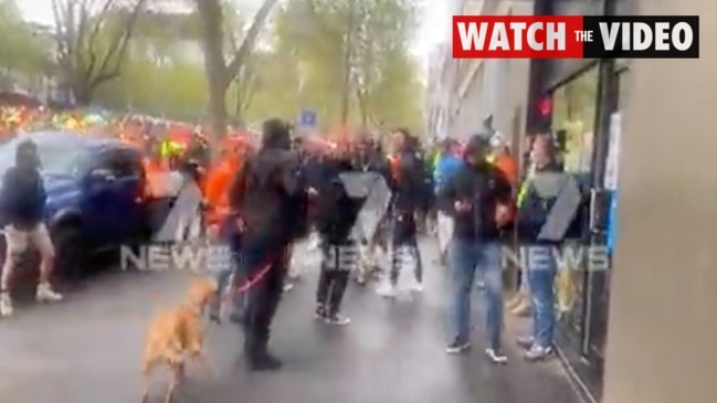 Melbourne protest dog kick investigated by RSPCA Victoria | news.com.au ...