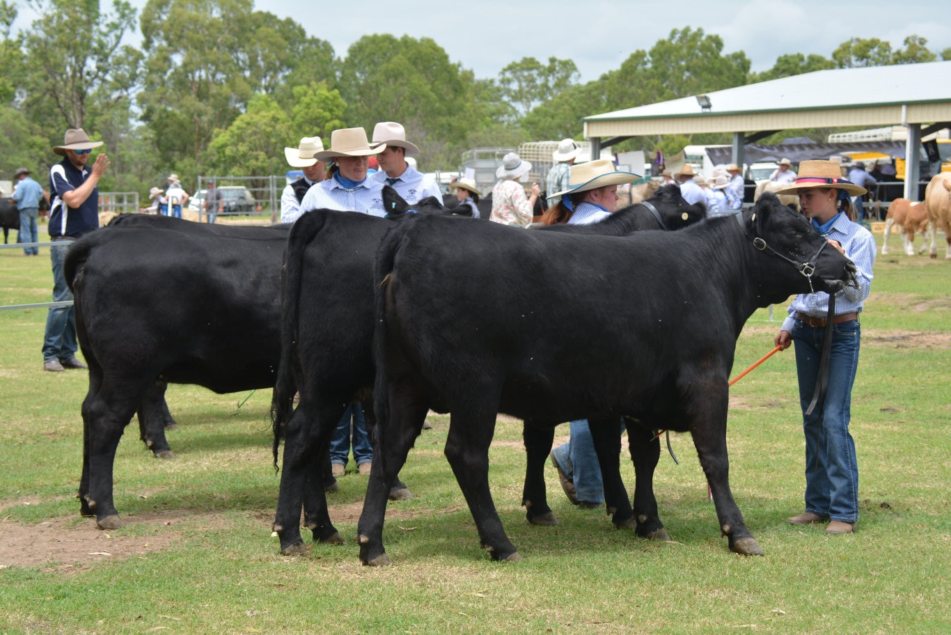 At the 71st Annual Cooyar Show. Picture: Kate McCormack