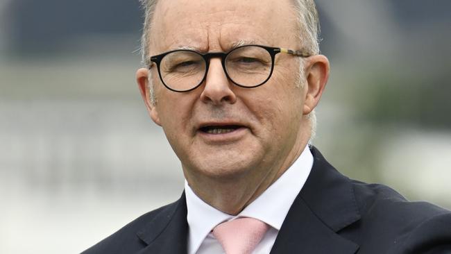 CANBERRA, AUSTRALIA  - NewsWire Photos - January 26, 2025:  Prime Minister Anthony Albanese during the National Citizenship and Flag Raising CeremonyÃÂ on the banks Lake Burley Griffin in Canberra. Picture: NewsWire / Martin Ollman