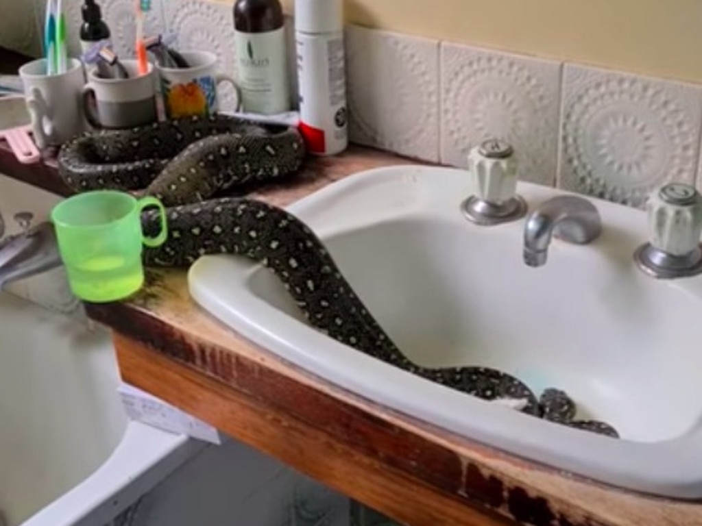 snake mobile home bathroom sink