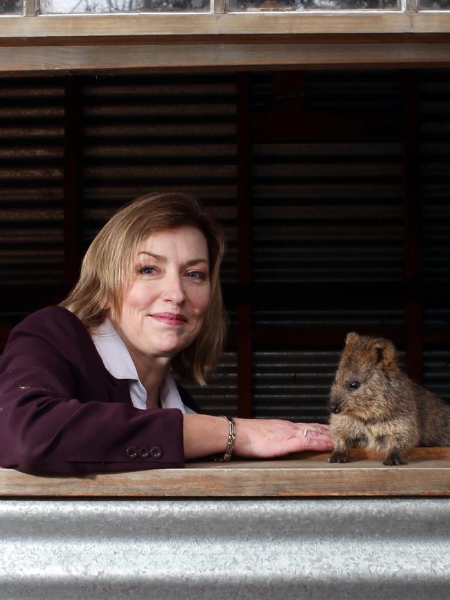 Zoos SA chief executive Elaine Bensted, with a quokka.