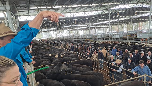 If you don't recognise the coloured shirts of the agents selling, Nutrien was decked out in blue to support the Do it for Dolly campaign and charity.