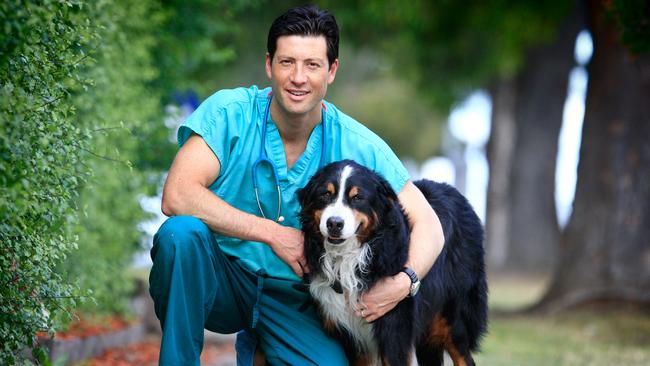 Veterinary surgeon Dr Chris Preston with Bailey the Burmese Mountain dog.