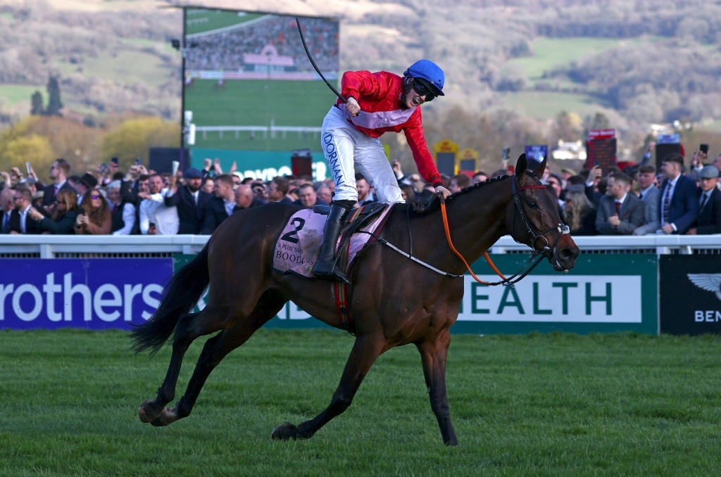 Cheltenham Festival retains its magic despite spectator decline