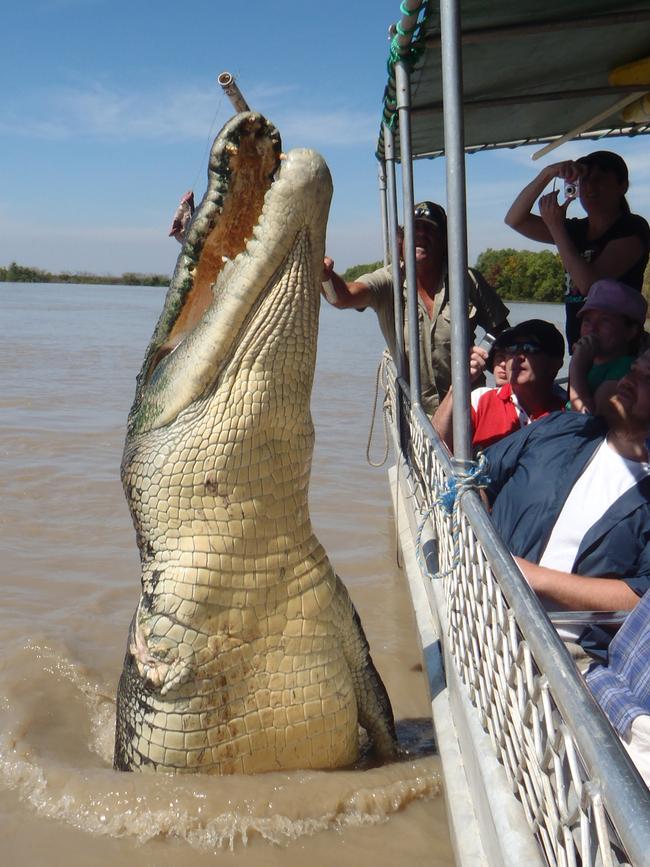 Brutus the croc says ’Hi” to the folks on an Adelaide River Jumping Croc Cruise. Picture: Katrina Bridgeford