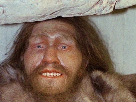 ** FILE **  A replica of a Neanderthal man is seen at the Neanderthal museum in Mettmann, western Germany in this Oct. 1996 file photo. A small bone fragment that scientists initially ignored has produced a bonanza: enough Neanderthal DNA to start mapping the genetic code of the stocky and muscular relative of modern humans, scientists report. (AP Photo/Heinz Ducklau)