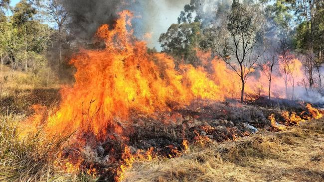 The Queensland Fire Department has announced a local fire ban for south west Queensland.