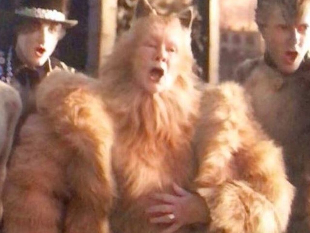 Judi Dench stars as Old Deuteronomy, a wise and ancient cat the others look up to – but as far as we know he didn’t have a human hand with a wedding ring.