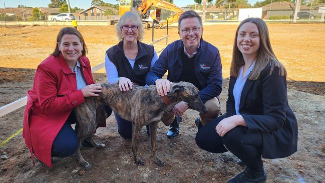 Wendouree MP Juliana Addison, BGRC manager Jodie Faralla, Racing Minister Anthony Carbines, and Ripon MP Martha Haylett at the Ballarat Greyhound Racing Club. Photo: Greyhound Racing Victoria