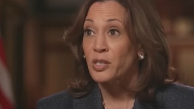 Kamala Harris during the interview.