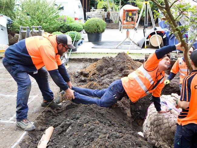 Albone and his team plant trees in the garden. Picture: kuva