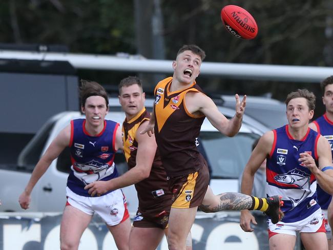 BFL wrap: Hawks pile on pain as Coutas can’t keep up