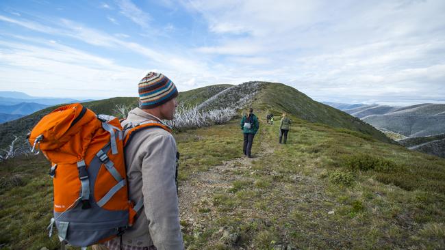 There are stunning views on the treeless plains at the top of the Great Dividing Range, such as here near Mt Feathertop. Picture: Visit Victoria