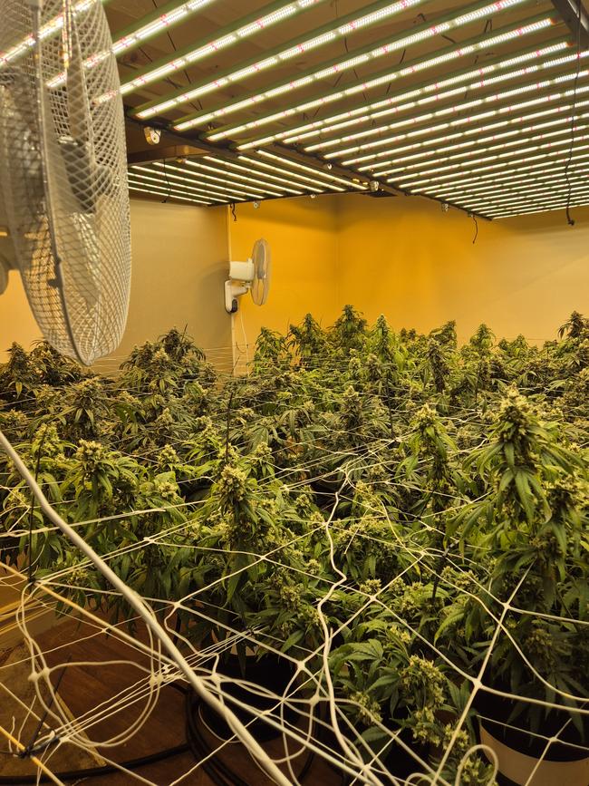 Five of the properties were found to allegedly have an electrical diversion. Picture: SA Police