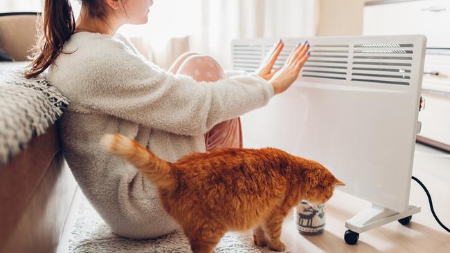 Heaters are selling out across South East Queensland in the midst of the current cold snap.