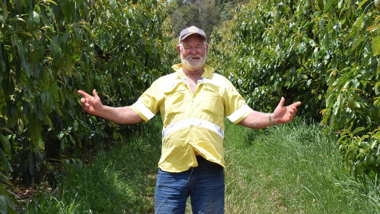 Mary's Creek avocado farmer John Groves said the new limits proposed in the plan would slash the entitlements at his Marys Creek farm to less than half the 83ML it needed to run every year.