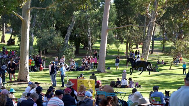 Crowds at the Adelaide Equestrian Festival in Adelaide. Picture: NCA NewsWire / Kelly Barnes