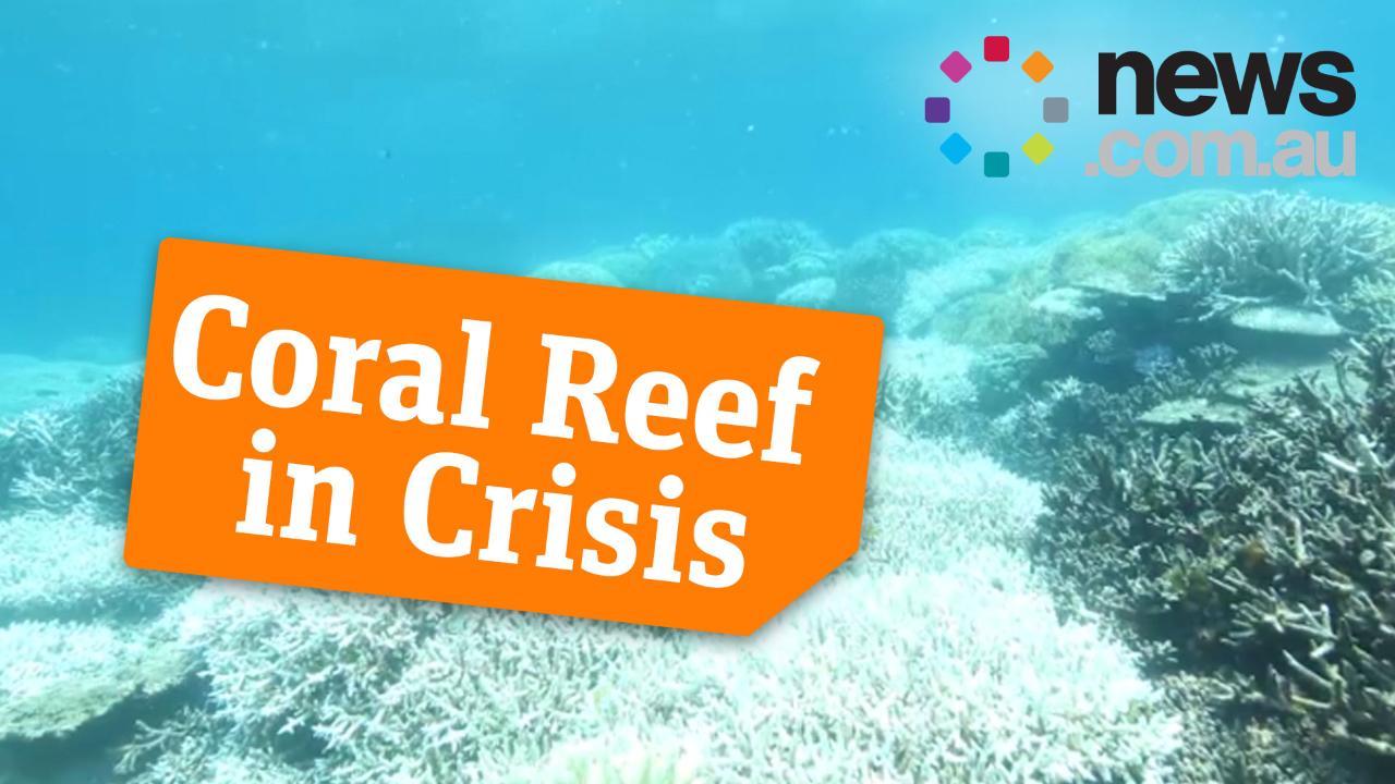 tourism jobs great barrier reef