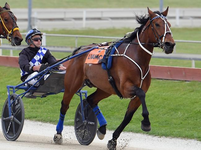 CHRISTCHURCH, NEW ZEALAND - NOVEMBER 09: Brad Williamson driving Majestic Man leads the field ahead of Gerard O'Reilly driving Vacation Hill in Race 7 Livamol NZ Trotting Free-For-All (Mobile Trot) during New Zealand Trotting Cup Day at Addington Raceway on November 09, 2021 in Christchurch, New Zealand. (Photo by Kai Schwoerer/Getty Images)