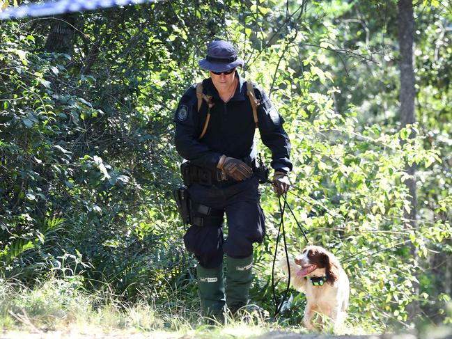 Police searching the Good Night Scrub National Park. Picture: Adam Head