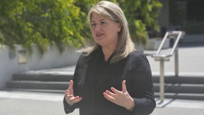 Member for Clark Madeleine Ogilvie speaks to the media in Parliament Square on Thursday 21 November 2024.