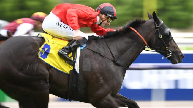 Galaxy Raider wins the last race at Flemington on Saturday. Picture: AAP