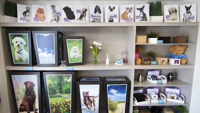 Pet Angel provides a range of final resting places for beloved pets including urns, coffins and teddy bears. Picture: NIGEL HALLETT