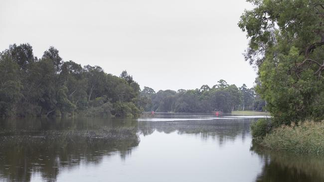 The shark was found about 1km down from Picnic Point