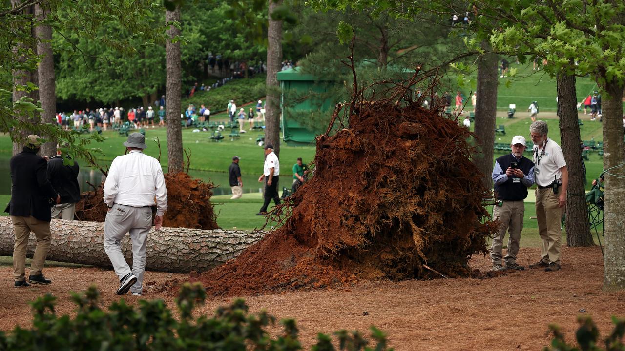 That’s one big tree root. (Photo by Patrick Smith/Getty Images)