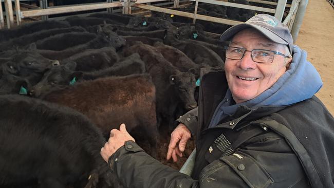 Angus McKinnon was a major vendor at the Wodonga store cattle sale.