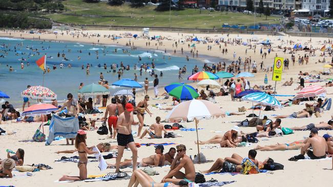 Sydneysiders can expect 30C temperatures and sunny conditions. Picture: NCA NewsWire / Damian Shaw