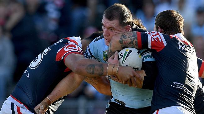 Paul Gallen and the Sharks are tracking well in their title defence.