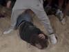 Three teens attacked in bizarre beach party bashing