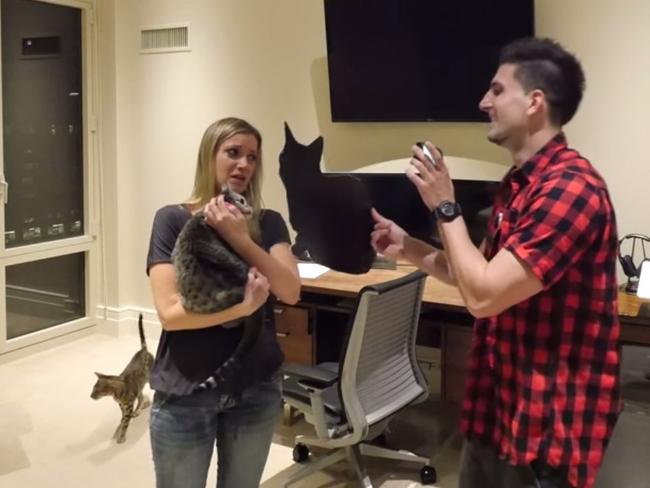 Her laughing boyfriend shows her the cut-out as she is reunited with her cat.